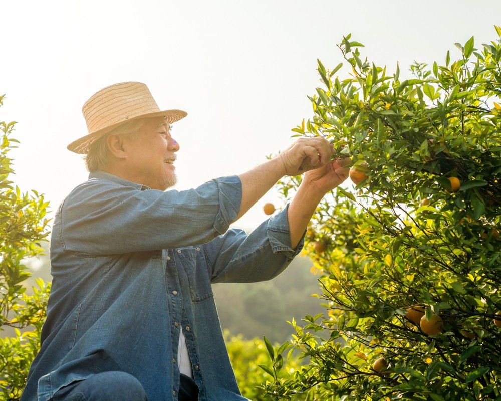 Person harvesting