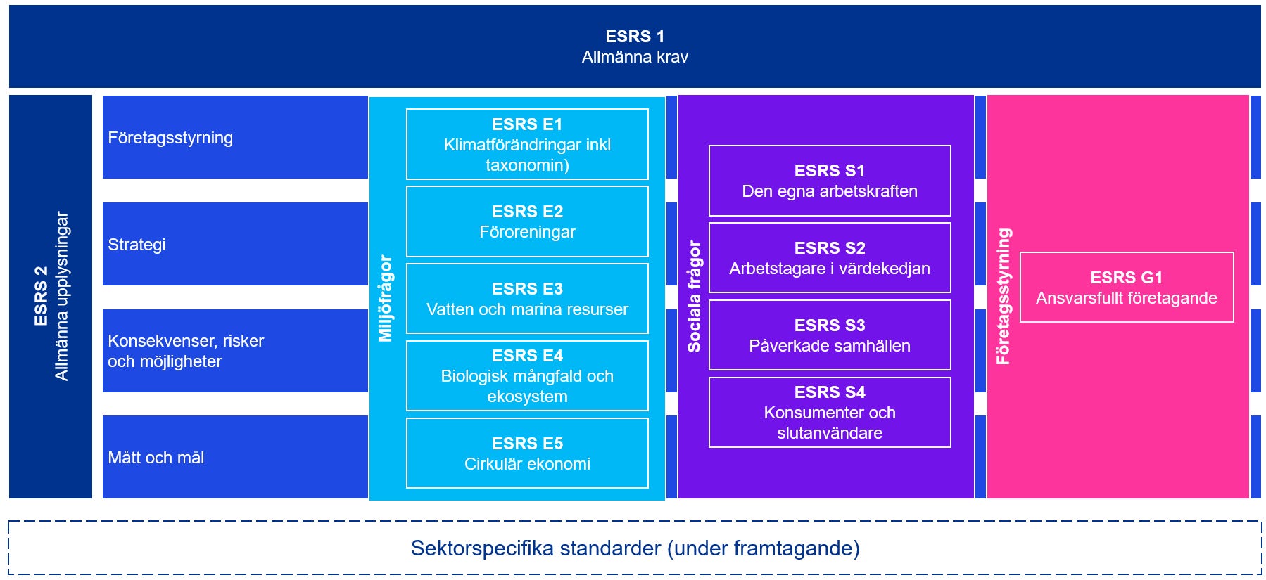 Bilden illustrerar de nuvarande 12 standarderna (bemärkta med ESRS) samt gemensamma rapporteringsområden.