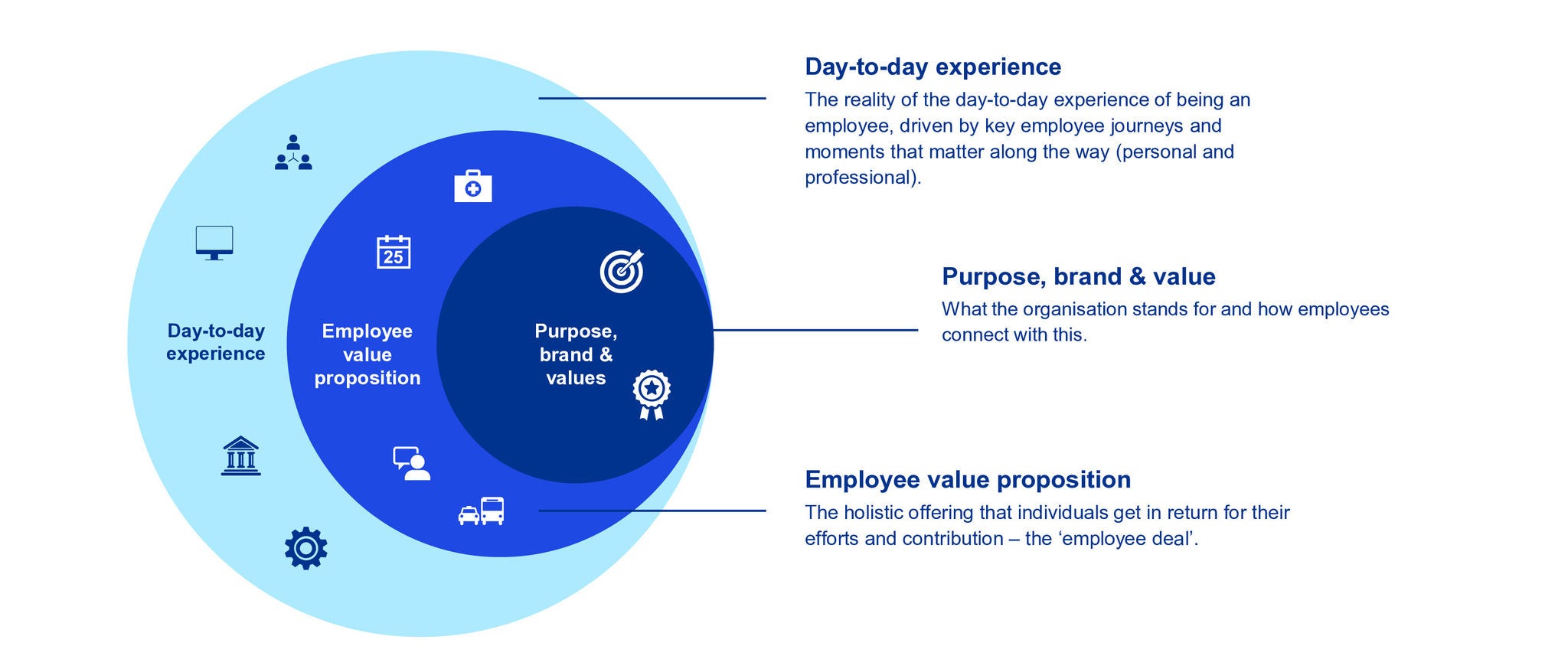 employee experience model
