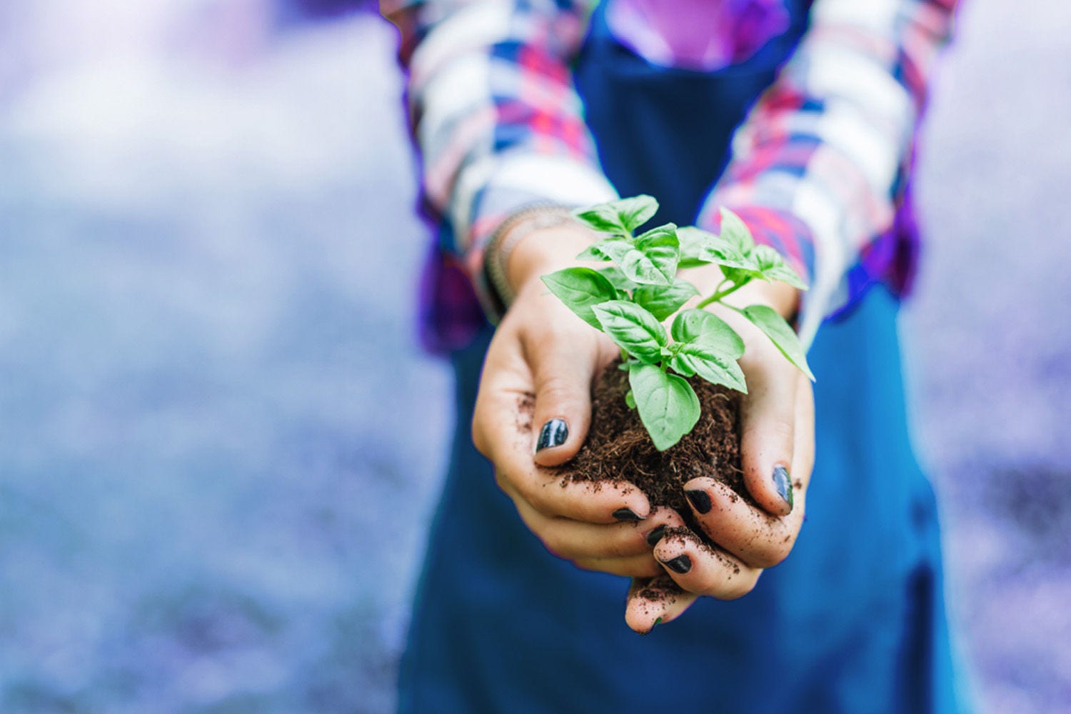 氣候變遷下的冰河