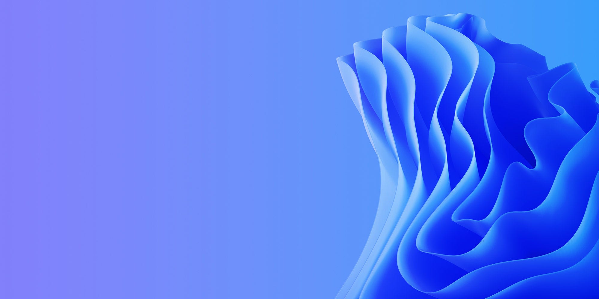 1165765431 1165765431