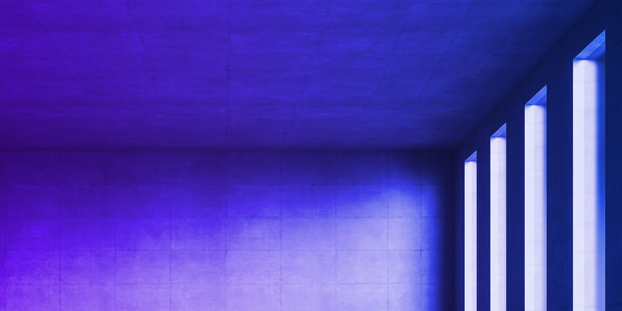 1165765431 1165765431