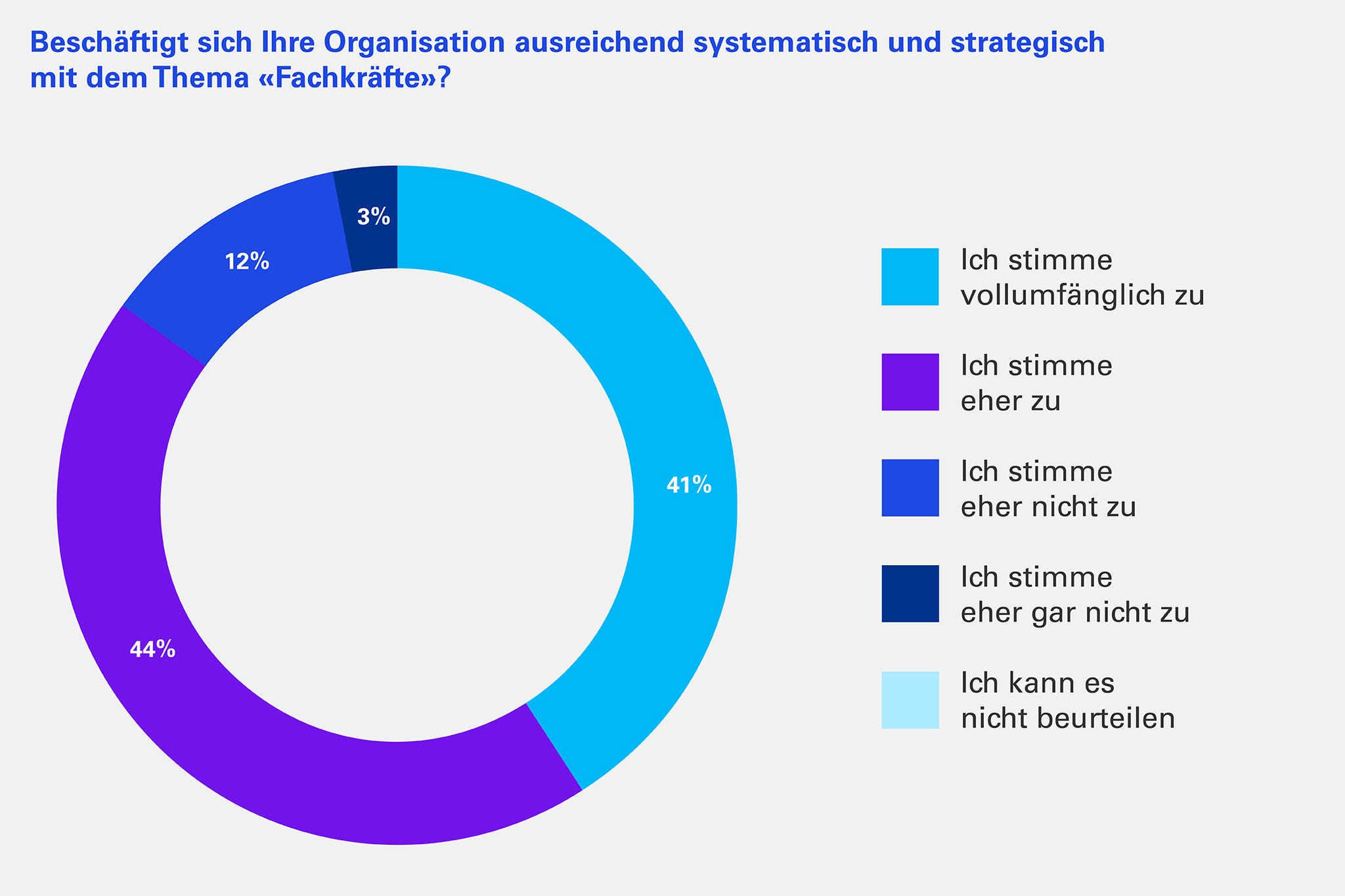 Beschäftigt sich Ihre Organisation ausreichend systematisch und strategisch mit dem Thema "Fachkräfte"?