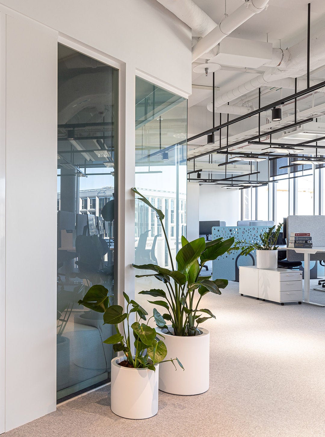 office plants