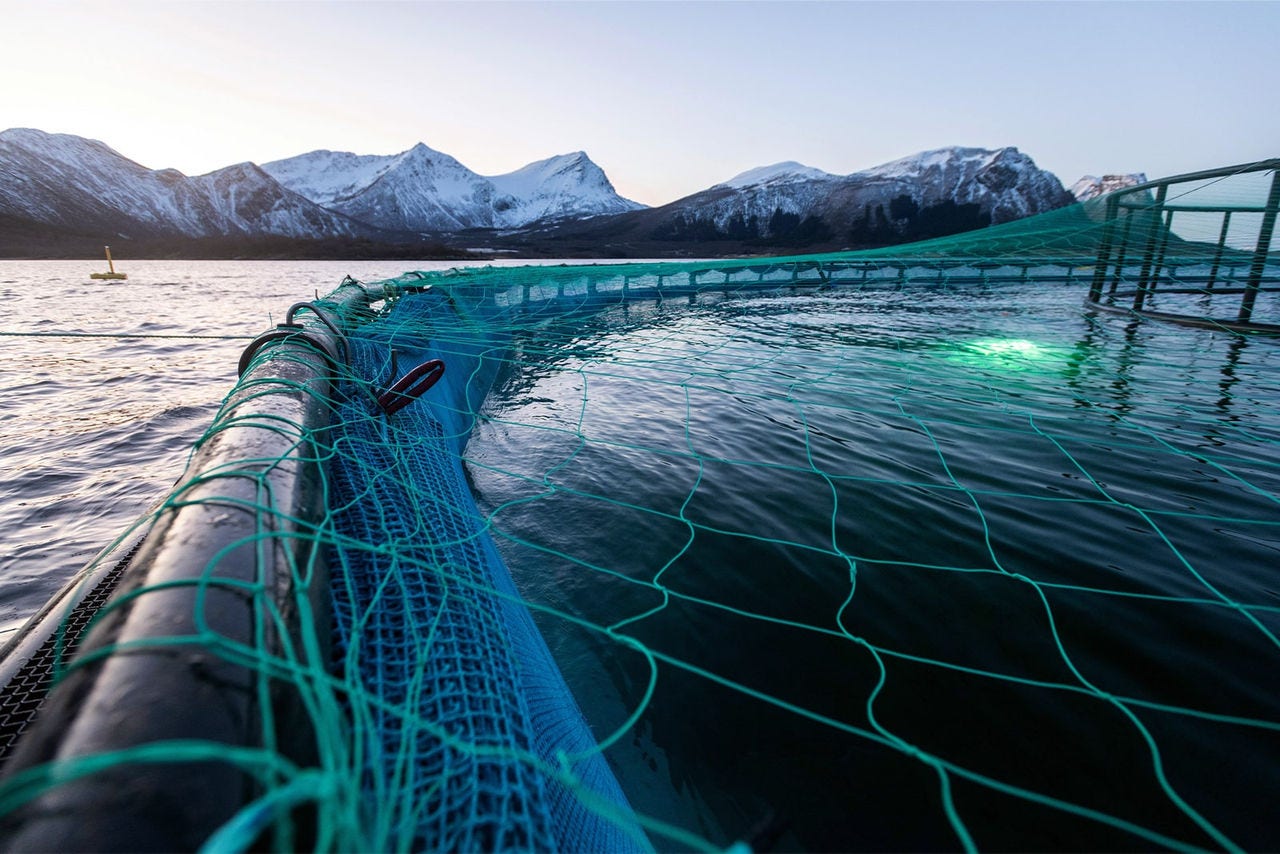 Fiskeoppdrett utstyr i havet