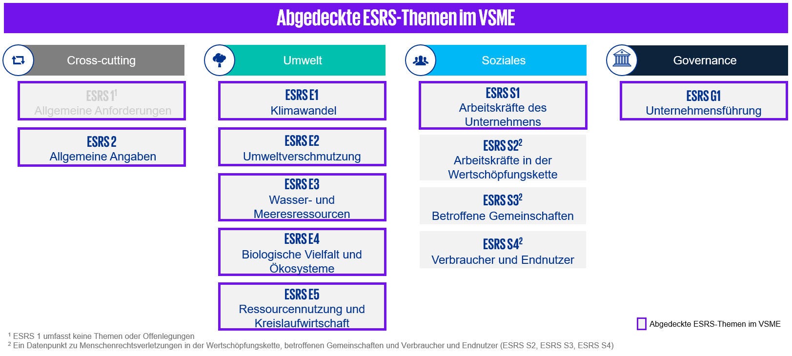 Übersichtsgrafik „Abgedeckte ESRS-Themen im VSME“ mit vier Kategorien: Cross-cutting (ESRS 1, ESRS 2), Umwelt (E1–E5: Klimawandel, Umweltverschmutzung, Wasser/Meer, Biodiversität/Ökosysteme, Ressourcennutzung/Kreislauf), Soziales (S1–S4: Unternehmensarbeitskräfte, Wertschöpfungskette, Gemeinschaften, Verbraucher/Endnutzer), Governance (G1: Unternehmensführung); Fußnoten zu ESRS 1 ohne spezifische Themen und zu Menschenrechtsverletzungs-Datenpunkten (S2–S4).