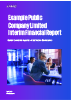 Example Public Company Limited: Guide to interim reports illustrative disclosures 2026-2027