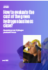 How to evaluate the cost of the green hydrogen business case?