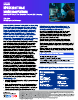 Storm-2561 – Global VPN Credential Theft via SEO Poisoning