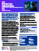 Warlock Ransomware - Covert SharePoint Exploitation with Defense Blinding