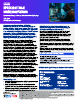 Gamaredon Group - Custom Malware-Driven Espionage