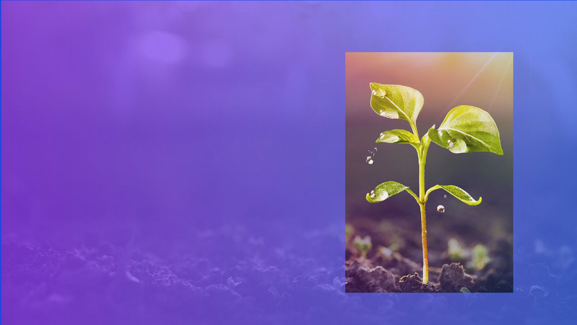 KPMG米国　ESGおよび財務的価値に関する調査