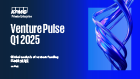 Venture Pulse Q1 2025