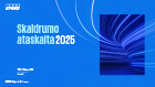 Skaidrumo ataskaita 2025