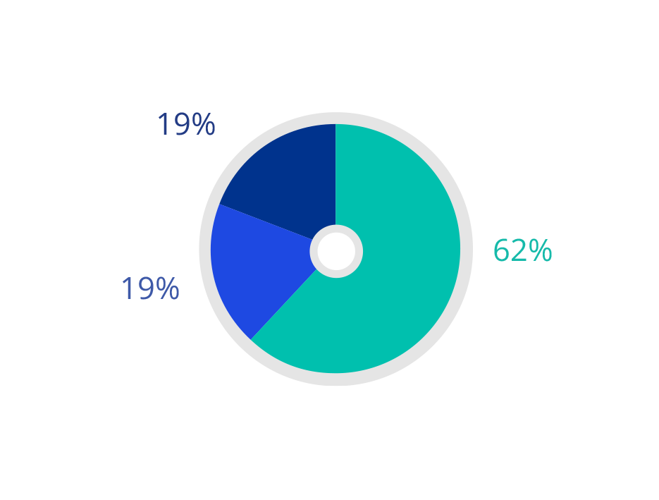 2021 Socio-economic background - Director