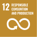 sdg icon