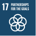 sdg icon