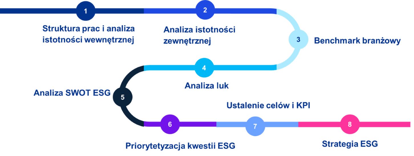 Strategia ESG - Etapy prac