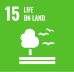 sdg icon